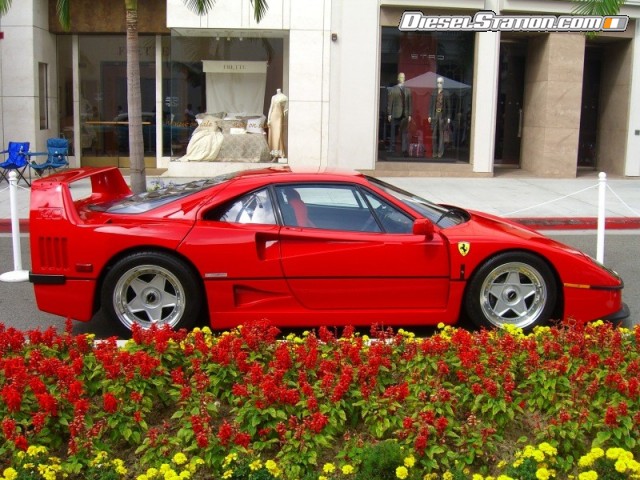 Misc 2007 Concourse On Rodeo 1 Picture #103 Misc 2007 Concourse On Rodeo 1 Picture #103